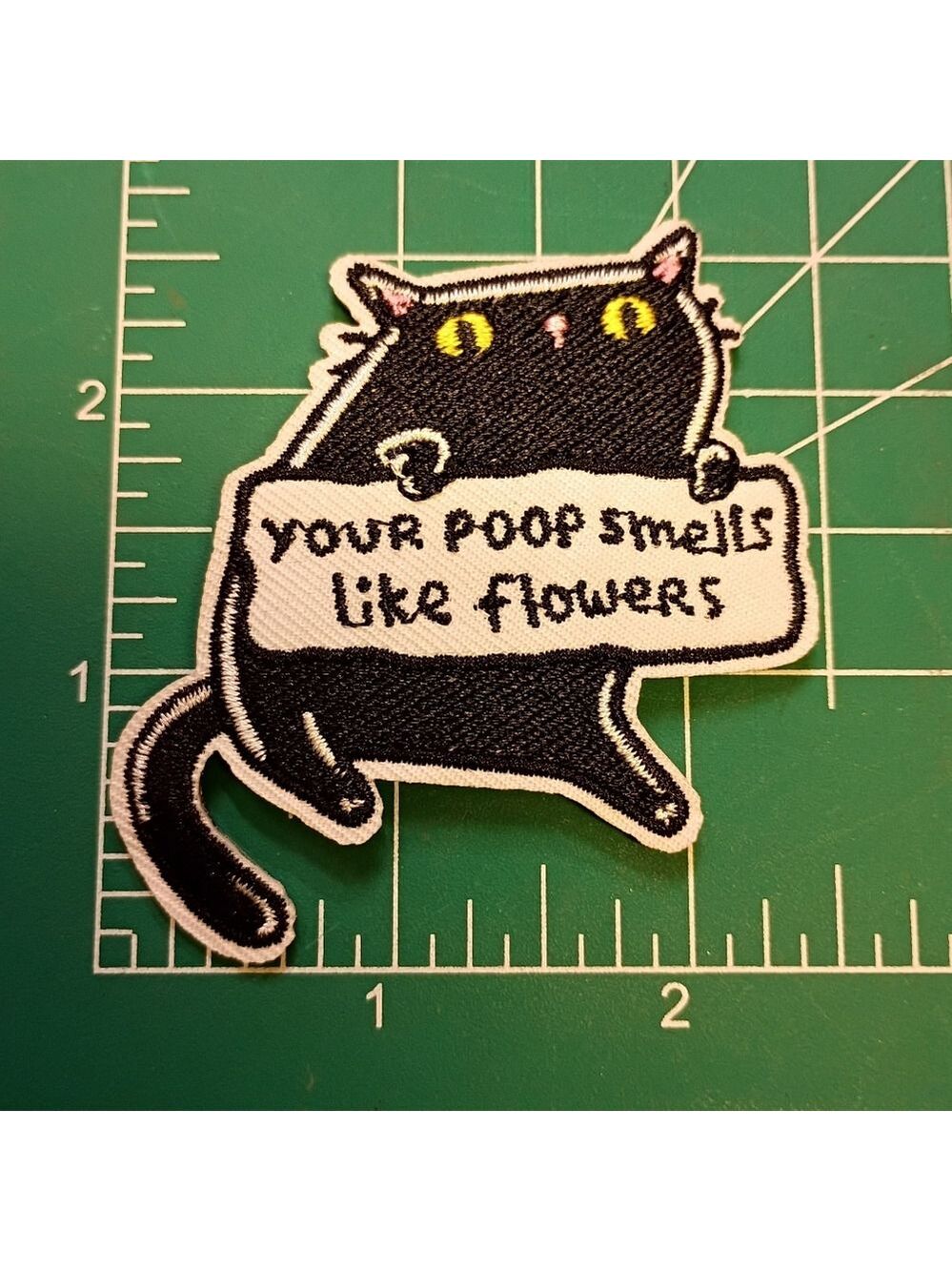 2/$10 Funny Quote Black Cat Iron-On Patch